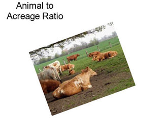 Animal to Acreage Ratio