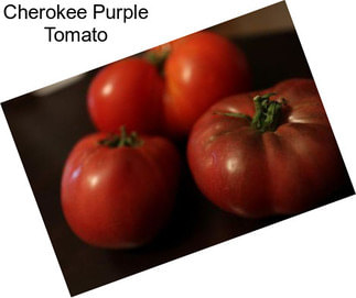 Cherokee Purple Tomato