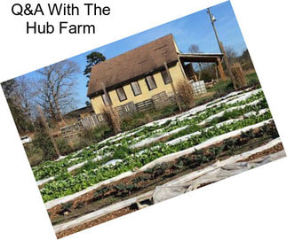 Q&A With The Hub Farm