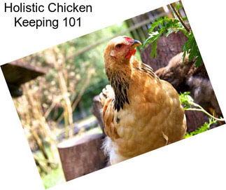 Holistic Chicken Keeping 101