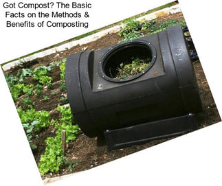 Got Compost? The Basic Facts on the Methods & Benefits of Composting