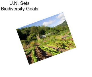 U.N. Sets Biodiversity Goals