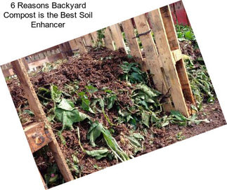 6 Reasons Backyard Compost is the Best Soil Enhancer