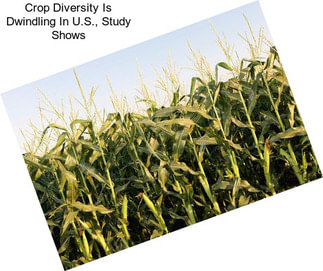 Crop Diversity Is Dwindling In U.S., Study Shows