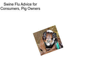 Swine Flu Advice for Consumers, Pig Owners