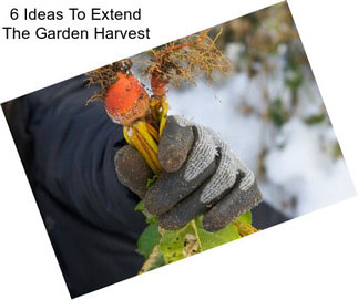 6 Ideas To Extend The Garden Harvest