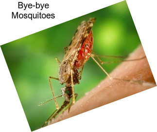 Bye-bye Mosquitoes