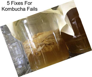 5 Fixes For Kombucha Fails