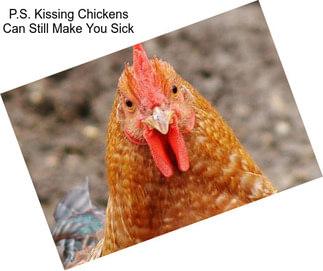 P.S. Kissing Chickens Can Still Make You Sick