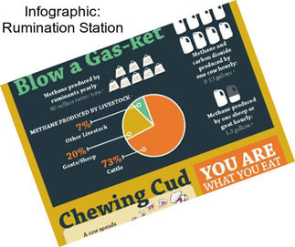 Infographic: Rumination Station