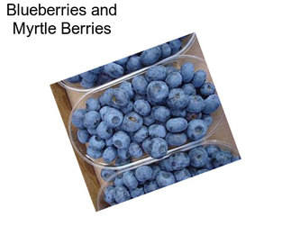 Blueberries and Myrtle Berries