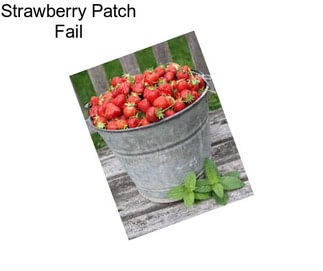 Strawberry Patch Fail