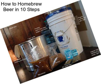 How to Homebrew Beer in 10 Steps