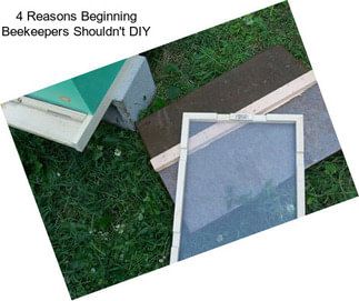 4 Reasons Beginning Beekeepers Shouldn\'t DIY