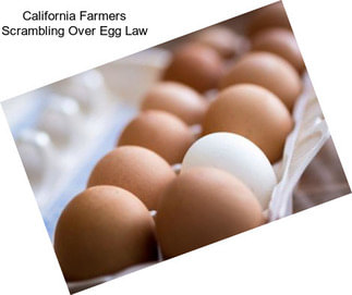 California Farmers Scrambling Over Egg Law