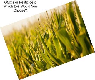 GMOs or Pesticides: Which Evil Would You Choose?