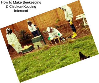 How to Make Beekeeping & Chicken-Keeping Intersect