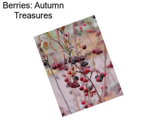 Berries: Autumn Treasures