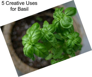 5 Creative Uses for Basil