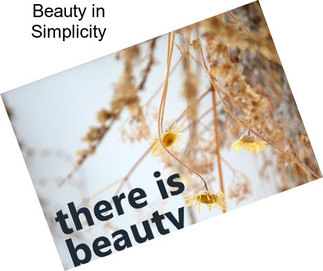 Beauty in Simplicity