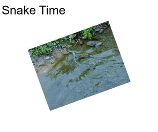 Snake Time