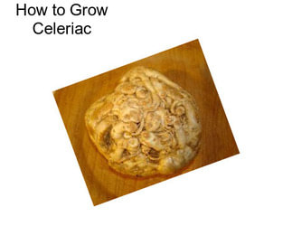 How to Grow Celeriac