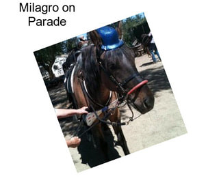 Milagro on Parade