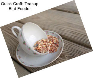 Quick Craft: Teacup Bird Feeder