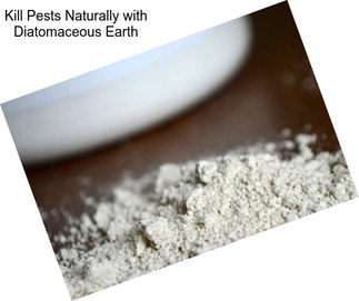 Kill Pests Naturally with Diatomaceous Earth