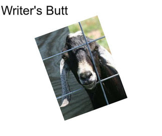 Writer\'s Butt