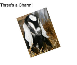 Three\'s a Charm!