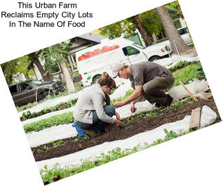 This Urban Farm Reclaims Empty City Lots In The Name Of Food