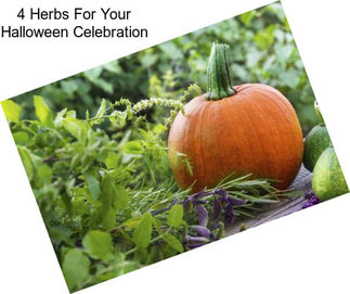 4 Herbs For Your Halloween Celebration