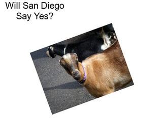 Will San Diego Say Yes?