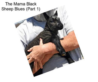 The Mama Black Sheep Blues (Part 1)