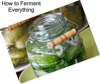 How to Ferment Everything