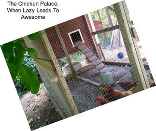 The Chicken Palace: When Lazy Leads To Awesome