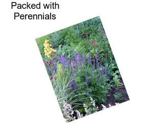 Packed with Perennials