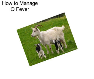 How to Manage Q Fever