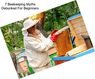 7 Beekeeping Myths Debunked For Beginners