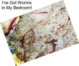 I\'ve Got Worms In My Bedroom!