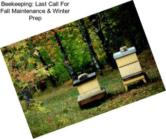 Beekeeping: Last Call For Fall Maintenance & Winter Prep