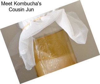 Meet Kombucha\'s Cousin Jun