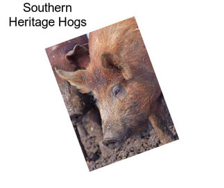 Southern Heritage Hogs