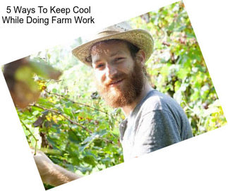 5 Ways To Keep Cool While Doing Farm Work