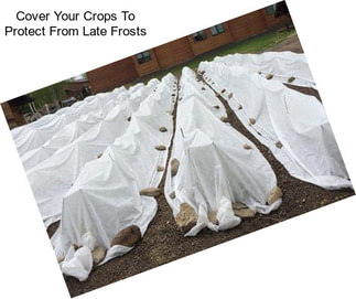 Cover Your Crops To Protect From Late Frosts