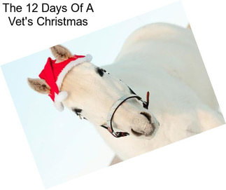 The 12 Days Of A Vet\'s Christmas