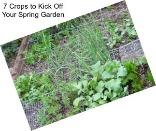 7 Crops to Kick Off Your Spring Garden