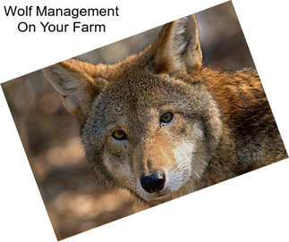 Wolf Management On Your Farm