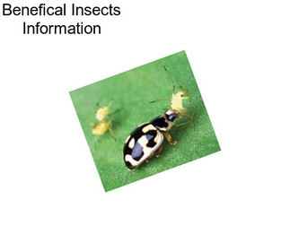 Benefical Insects Information